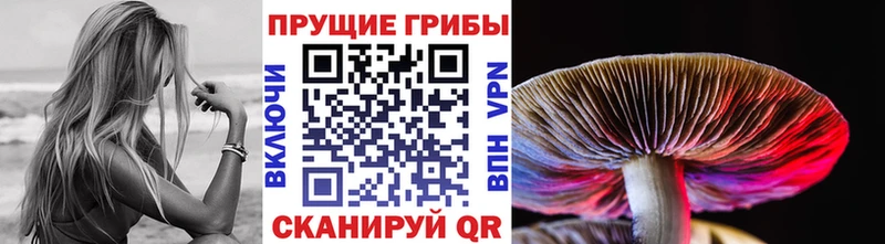 Галлюциногенные грибы Psilocybe  KRAKEN ССЫЛКА  Ревда  где найти наркотики 